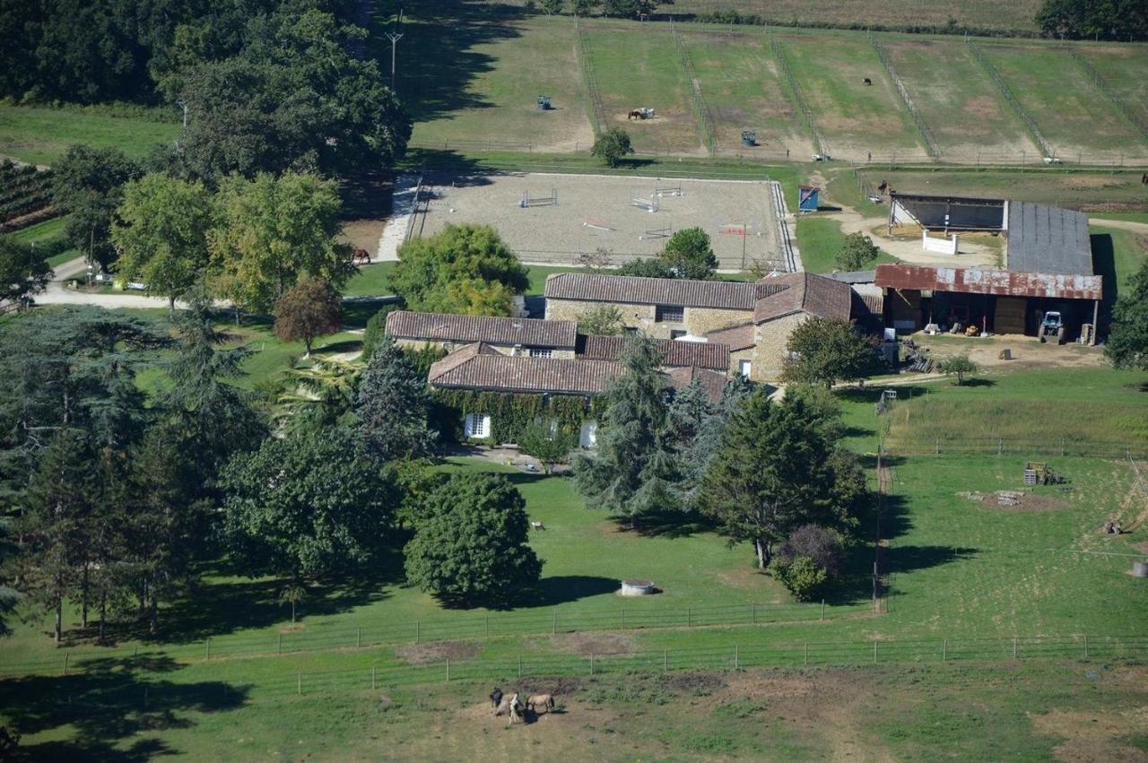 Le Chateau De Roquebere Condom Kültér fotó